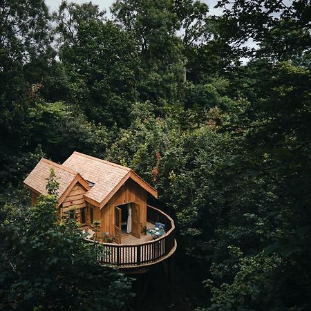Wildhive Callow Hall Ashbourne (Derbyshire) Exterior foto