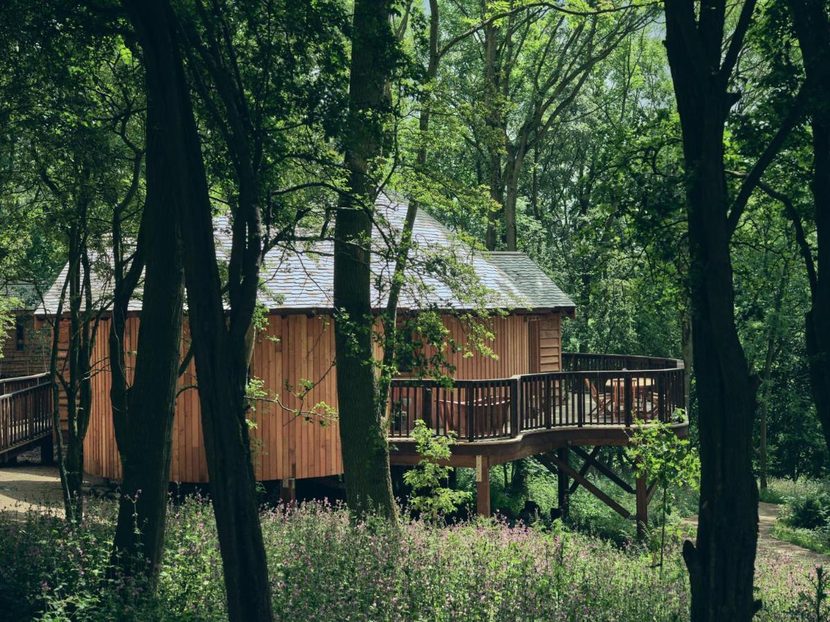 Wildhive Callow Hall Ashbourne (Derbyshire) Exterior foto