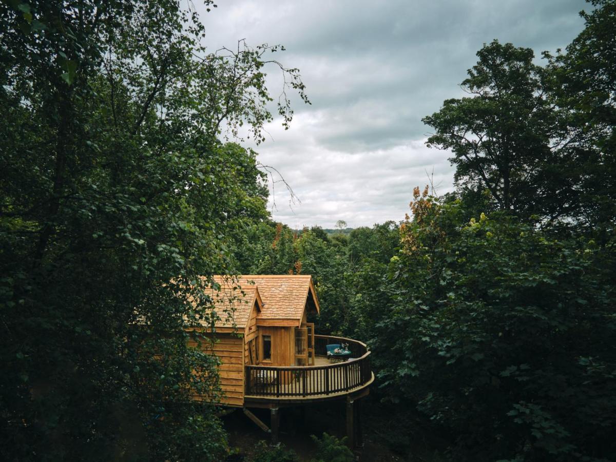 Wildhive Callow Hall Ashbourne (Derbyshire) Exterior foto